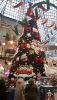 20201214_134559.thumb.jpg.89ad6cc81c2785658a999b5e24688ff8.jpg