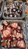 20201214_134747.thumb.jpg.4f1056ed977a74cea498ecd109675fbe.jpg