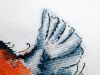 20201215_133744.thumb.jpg.03920916200e6db9cefc76e274216dfe.jpg