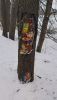 20201220_144041.thumb.jpg.c824402d68482fc92775f22ac9873c9c.jpg