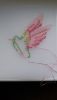 20201224_153048.thumb.jpg.84e2b3c69d8ffe5e06a295303269822b.jpg