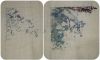 20201226_101206.thumb.jpg.3059a3655dd1cd4e01cef74dc9857a83.jpg