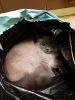 20201226_165329.thumb.jpg.dd7975b8756b79543469b5e8ba288eac.jpg