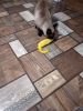 20201226_191827_mfnr.thumb.jpg.b07344bde6f9ff8af52d94b42e1f6e9b.jpg