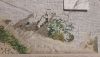20201229_170838.thumb.jpg.ab86c50d4db2ded2b4482dcc8ac38d7f.jpg