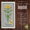 зверобой (1).jpg
