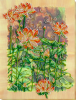 283036556_.thumb.png.282cbe0b83fc3a68e36717f791bd6e2c.png