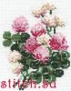 3326.thumb.jpg.1ea3ec14c530611dc4e5c68fbeeba5ef.jpg