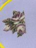 4.thumb.jpeg.871adce45340697bb55a1d243dbc7d92.jpeg