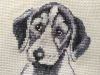 5.thumb.jpg.4ab705e5812c8c0ca79a7d89fe567399.jpg