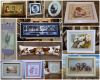 CollageMaker_20201228_141553515.thumb.jpg.0e3032c7ec262ff59ab486731646e1b9.jpg