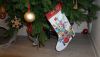 DSC00324.thumb.JPG.26535b54c03f0554baf460ed32991c16.JPG