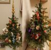 DSC_0536.thumb.JPG.68f6dcb19a9879b8c7e42bda48070c1d.JPG