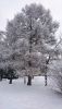 DSC_0850.thumb.JPG.39f823b92140e88dd701904afdfd4d54.JPG