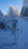 DSC_0853.thumb.JPG.46deca748cf9aef5419aa8b6b3606240.JPG