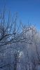 DSC_0854.thumb.JPG.3853a81faa0e1640082e5cb1712b500b.JPG