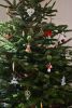 DSC_3235.thumb.JPG.dafb25c57d5940b0ac2e2bca35f6177f.JPG