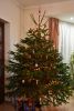 DSC_3271.thumb.JPG.10bdc3d84b52dc949a70f46f83818771.JPG