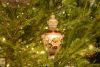 DSC_6394.thumb.jpg.e4f7ff85bd7c565c9693d6060eeb3794.jpg