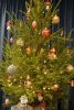 DSC_6429.thumb.jpg.c69bc769c2b0d2a04897ed509e8c4a86.jpg