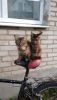 IMG-20190729-WA0059.thumb.jpg.26385eeb270cebf03496d09099478a3e.jpg