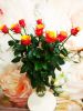 IMG-20201107-WA0000.thumb.jpg.2b3a0a882dd4109ae2190adcc8ed3361.jpg
