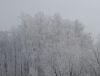 IMG-20201202-WA0001.thumb.jpg.567a90c04e2f43c3b227ab1f84dd7812.jpg
