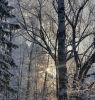 IMG-20201203-WA0001.thumb.jpg.96fce1a2eec8f38e6b07909148d59fcd.jpg