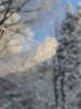 IMG-20201203-WA0002.thumb.jpg.a48616a5636c7162cf5435aa139295ce.jpg