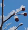 IMG-20201203-WA0003.thumb.jpg.1f464ed2242eac8ca5366cb5f600c6e1.jpg