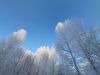 IMG-20201203-WA0005.thumb.jpg.0b1900f28d1edc8367870680ad77e2f3.jpg