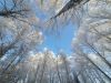 IMG-20201203-WA0006.thumb.jpg.bf317eb80a1a8fc6e34eeb37188bb4a8.jpg