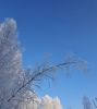 IMG-20201203-WA0009.thumb.jpg.d240897a2f552c395b2d6bdf6b0cb782.jpg