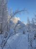 IMG-20201203-WA0011.thumb.jpg.15a9a79c94f09232be6ca0e17d07e9f8.jpg
