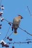 IMG-20201203-WA0017.thumb.jpg.0ab147d63be57593bae4db2dd09f9d62.jpg
