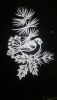 IMG-20201219-WA0016.thumb.jpeg.63b1679118cc986790da39d5edc6de83.jpeg