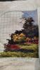 IMG-20201227-WA0001.jpg