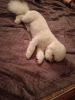 IMG-20201228-WA0021.jpg