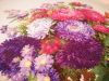 IMG-cdc09db6495ae708b8b1b8493130c326-V.thumb.jpg.66a23288d23049b97d13e0ac59f78be5.jpg