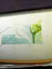 IMG20201214102432.thumb.jpg.ea2d3a2f7b32e45872f78789fff02420.jpg