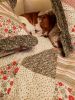 IMG20201230185823.thumb.jpg.beae23cef452bec12977d24e6afc2801.jpg