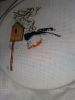 IMG_20201109_212840.thumb.jpg.fee57ec97cd6ed3d9fdac4e276e2e0d2.jpg