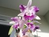 IMG_20201120_102612.jpg