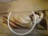 IMG_20201126_192429.thumb.jpg.d59a28b128bcbed02051825b451d3ed5.jpg
