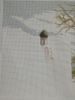 IMG_20201130_234532.thumb.jpg.1f3534fd9926b3a5e7ac4f4f492ccc8c.jpg