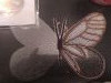 IMG_20201203_141912.thumb.jpg.80020dedbc50eeda922610155b8240e3.jpg?1607236732308