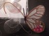 IMG_20201204_082042.thumb.jpg.95ba8dd14ed20fbfed60b7e4cfa069c2.jpg