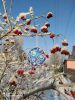 IMG_20201204_133348_compress0.thumb.jpg.81d1c6214332765b81546dae85eebd74.jpg