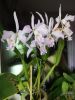 IMG_20201206_191439.jpg