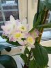 IMG_20201207_081551.jpg